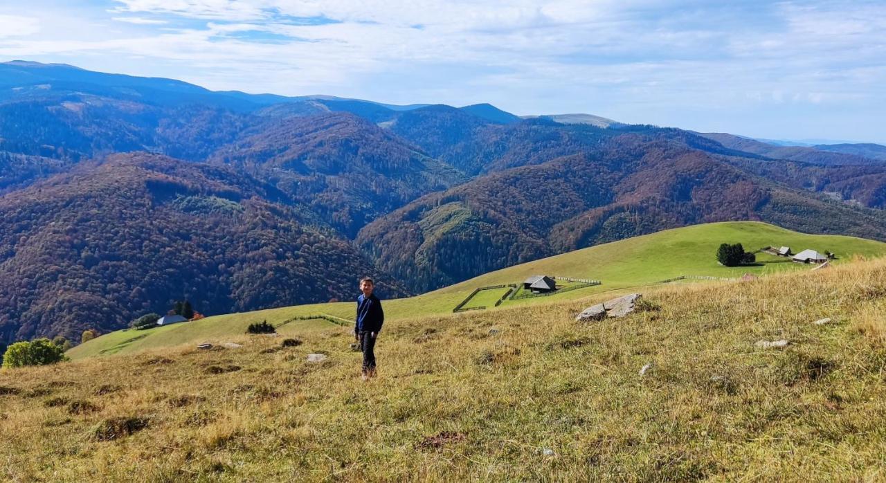 Eden Natural Resort - Transalpina Capalna Exteriör bild