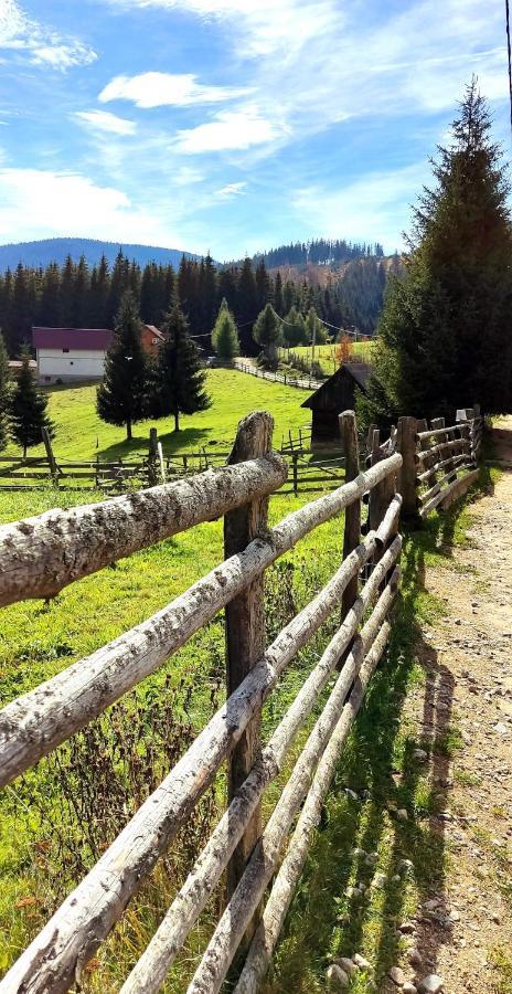 Eden Natural Resort - Transalpina Capalna Exteriör bild