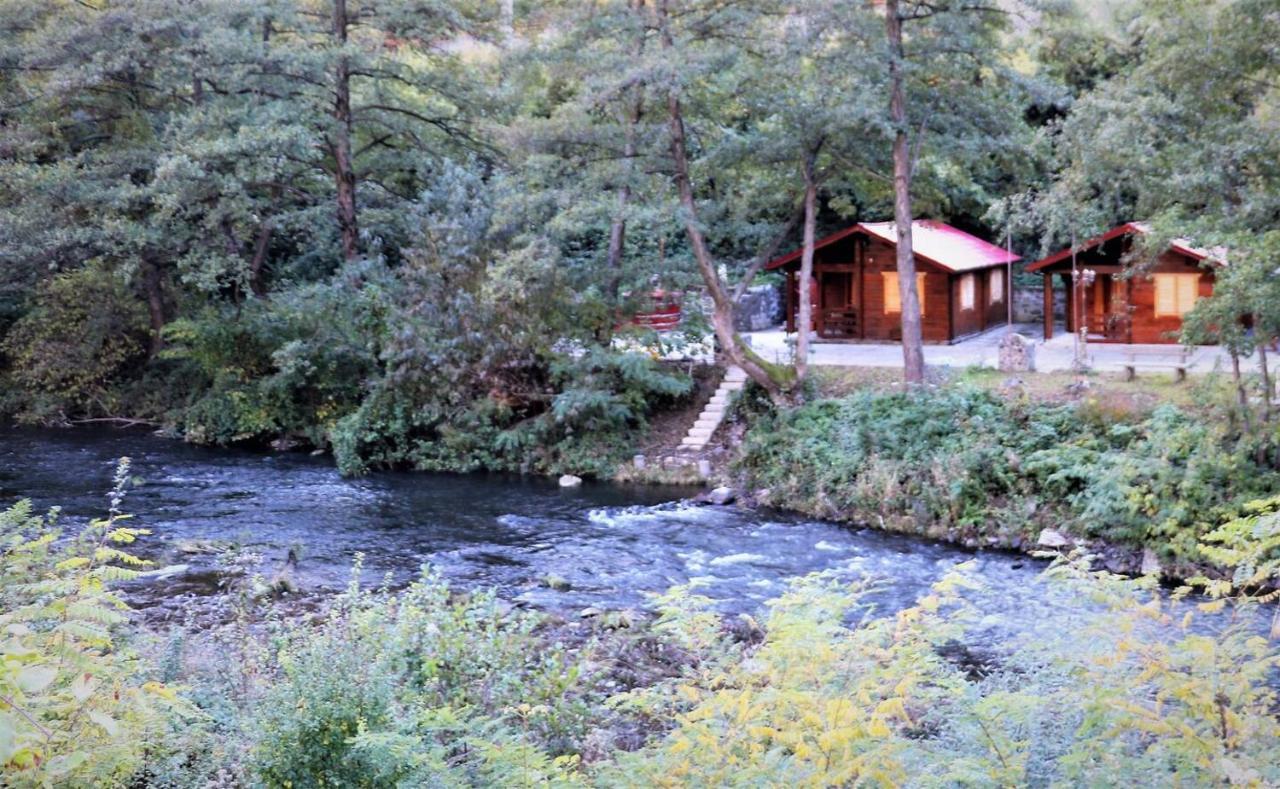 Eden Natural Resort - Transalpina Capalna Exteriör bild