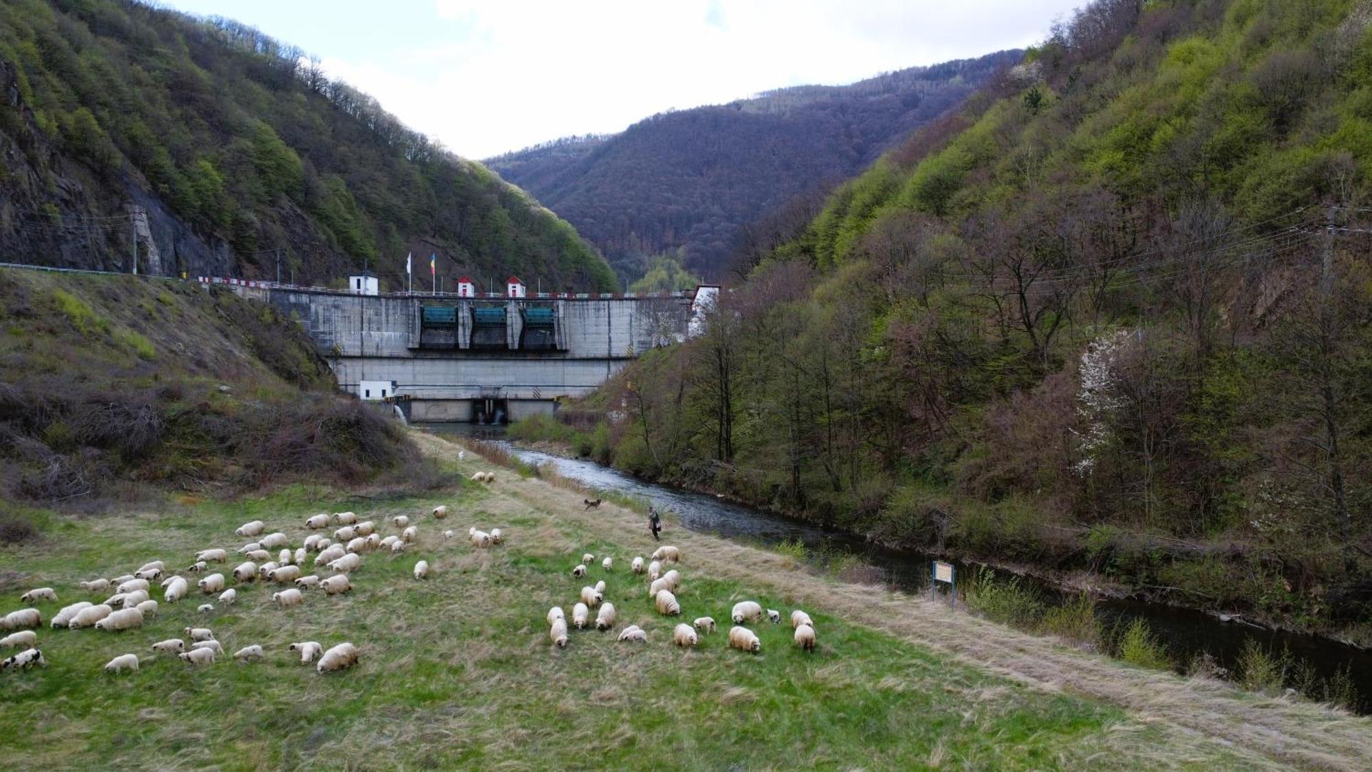 Eden Natural Resort - Transalpina Capalna Exteriör bild